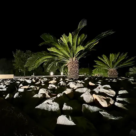 Apartment Mediterranea